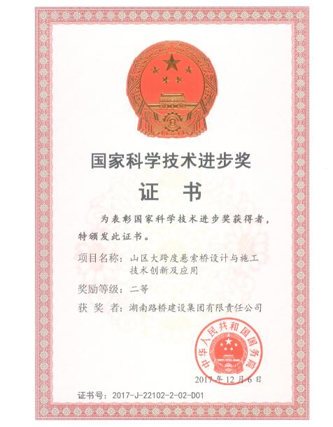 国家科学手艺前进奖